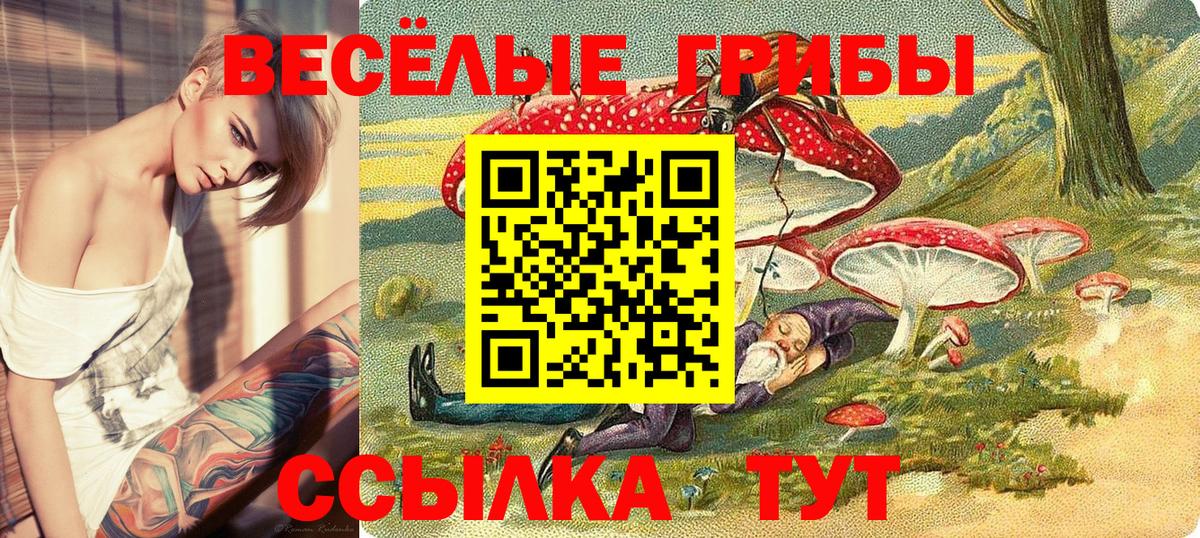 Кимовск  Галлюциногенные грибы Psilocybine cubensis  купить   Вход с VPN 
