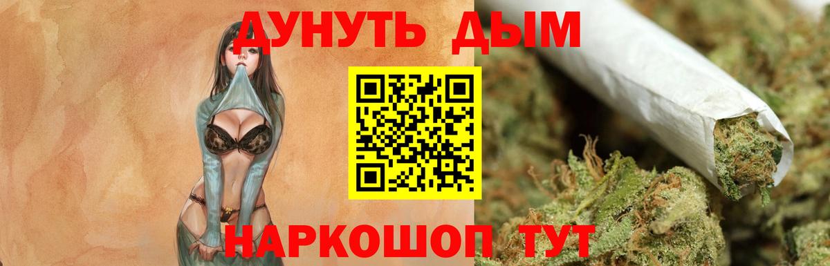 Бошки Шишки планчик  Вход с VPN  МАРИХУАНА SATIVA & INDICA  Кимовск  Конопля Bruce Banner 